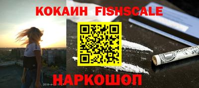 гашик Тверь