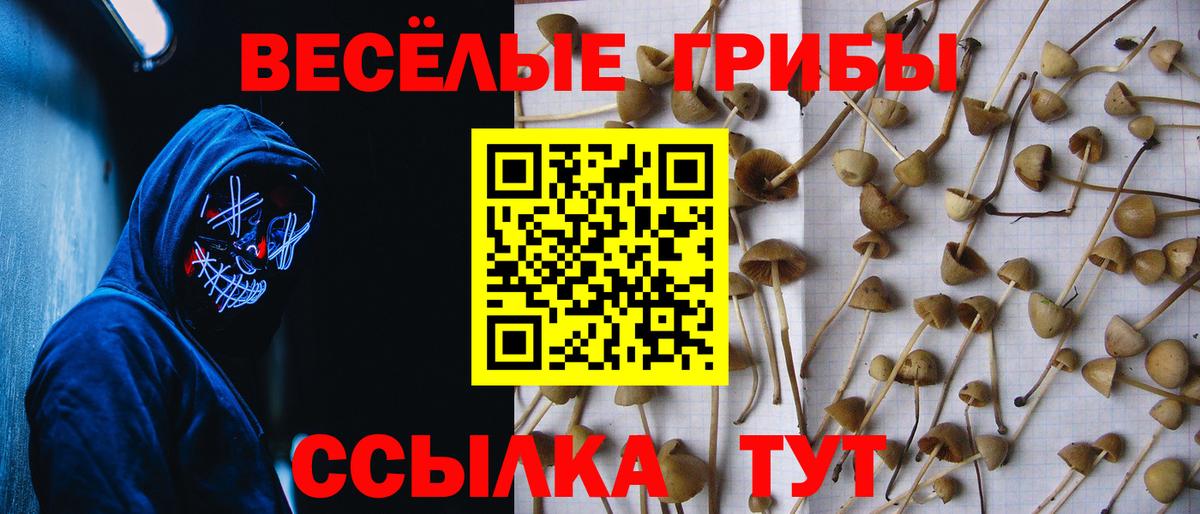 Галлюциногенные грибы Psilocybine cubensis  Галлюциногенные грибы Psilocybe  Вход с VPN  Нефтеюганск 